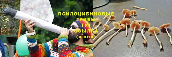 винт Абаза