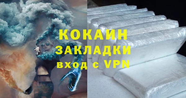 шишки Горно-Алтайск