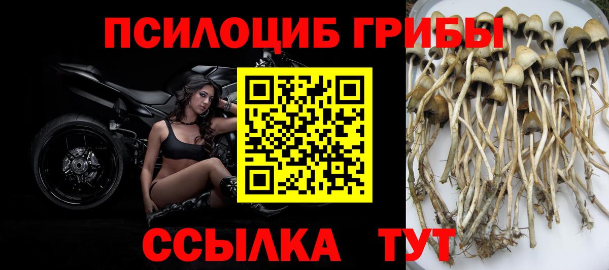 Псилоцибиновые грибы ЛСД  Псилоцибиновые грибы прущие грибы  Воткинск  Вход с VPN 