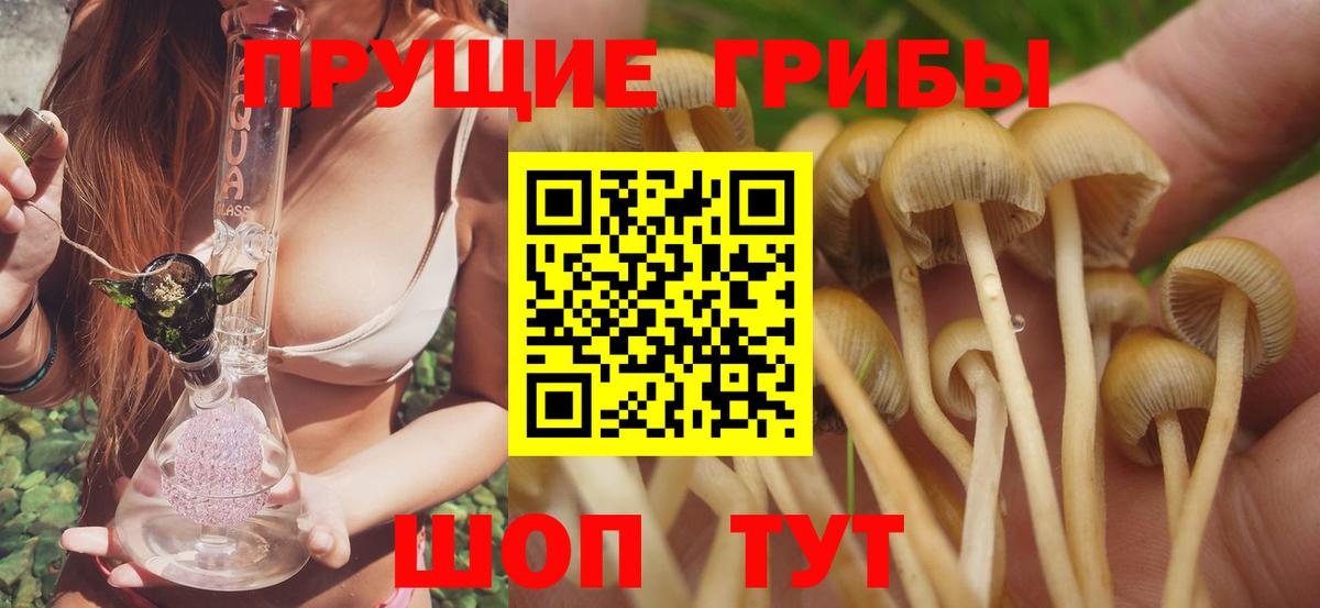 Галлюциногенные грибы Psilocybe Воткинск